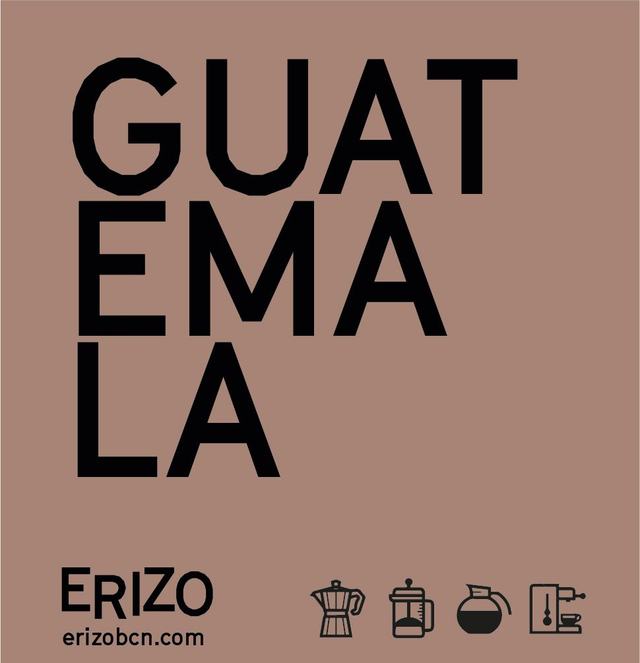 Guatemala Maragogipe