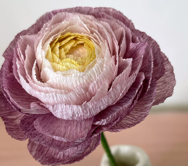 Renoncule "Enaé" avec son vase artisanal offert