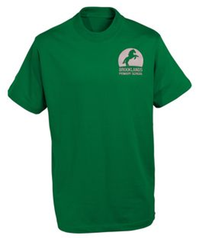 PE  T-Shirt (Branded) - Green