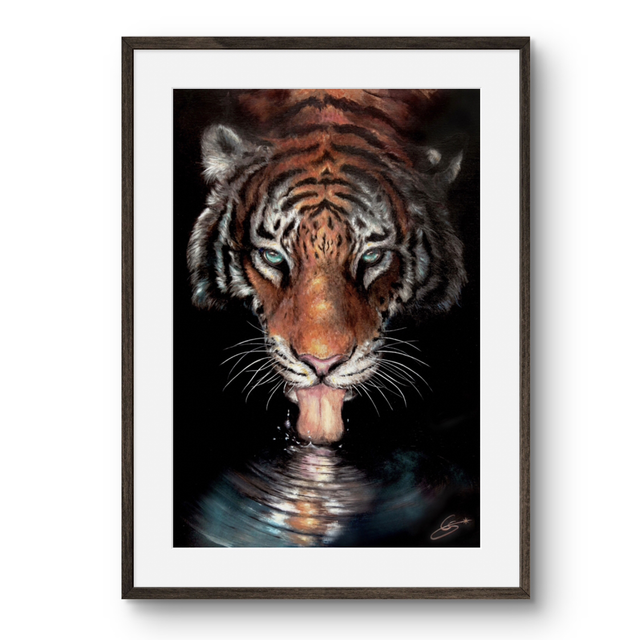 Tirage d’art Tigre La source 