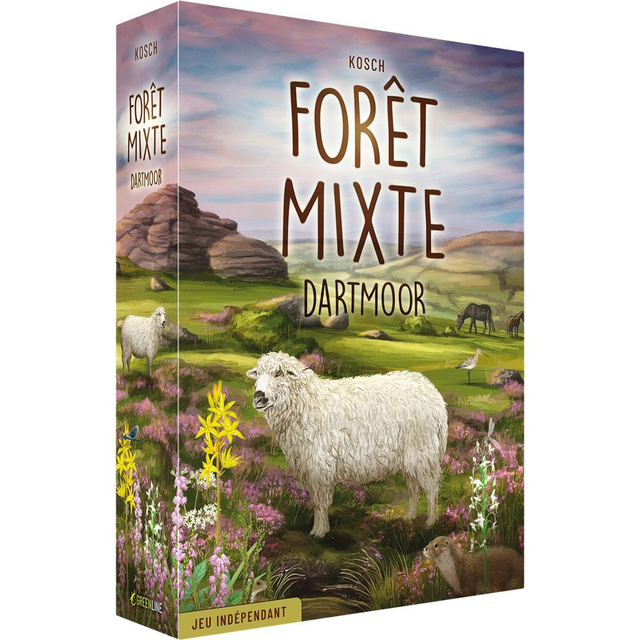 Forêt Mixte - Dartmoor