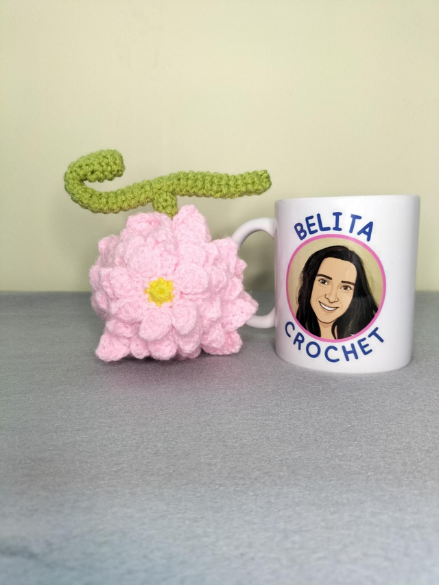 ONE PIECE Hana Hana no Mi