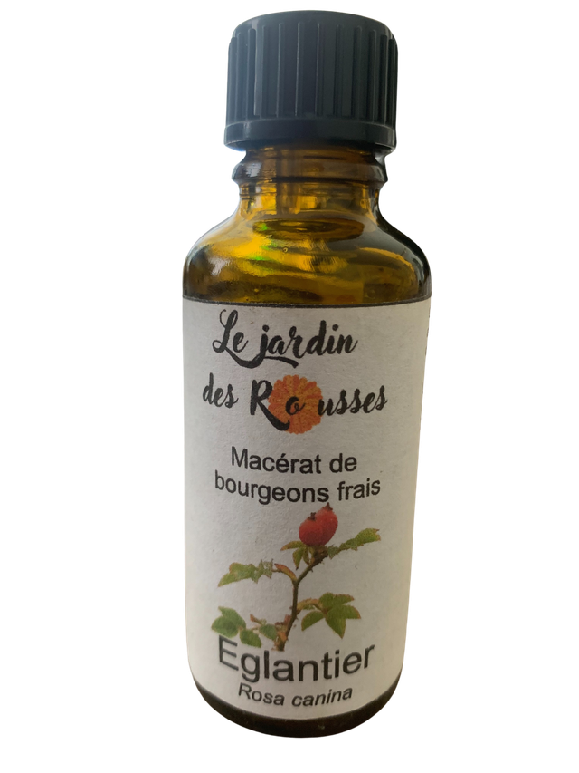 EGLANTIER - Macérât glycériné de bourgeons Flacon de 30 ml