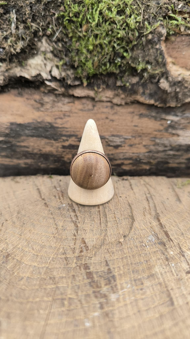 Catalpa - 18mm - 240171