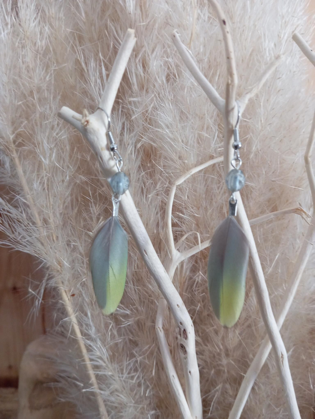 Boucles en plumes 