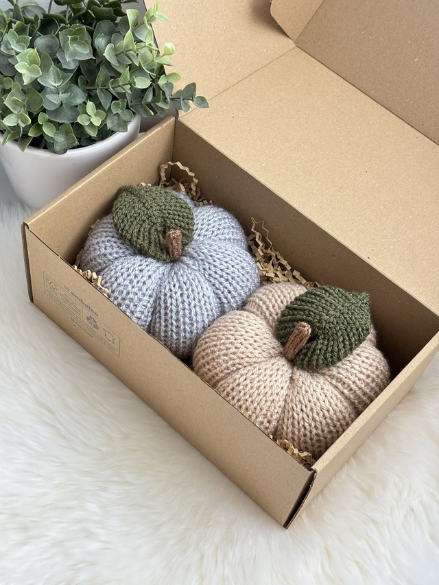 Citrouilles (Lot de 2)  