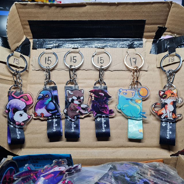 Lanyard Key Chains