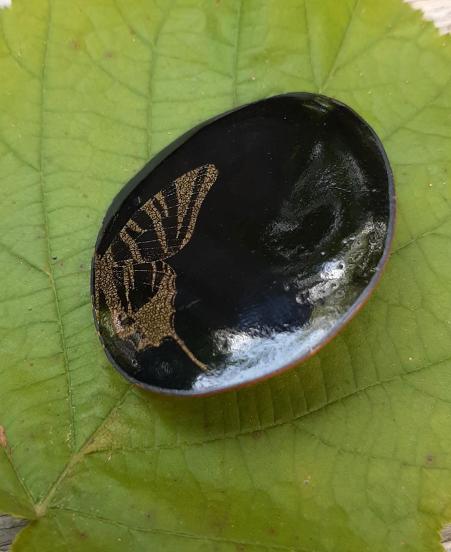 Broche Noire Papillon doré 