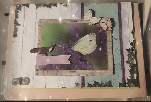 N°807 Carte  Divers Fleuri &quot;  l&#039;oiseau &amp; le papillon &quot;