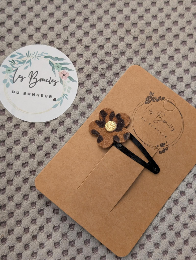 Barrette b062