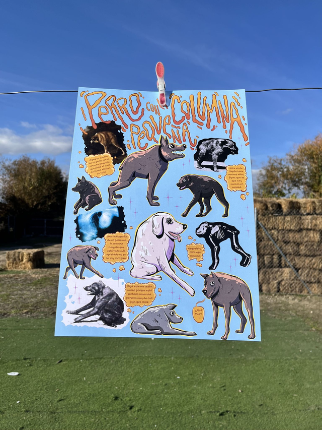 Lámina "Perros con la columna pequeña". Tamaño A3.