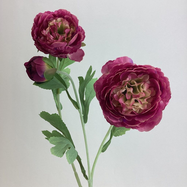 Ranunculus Spray Pink