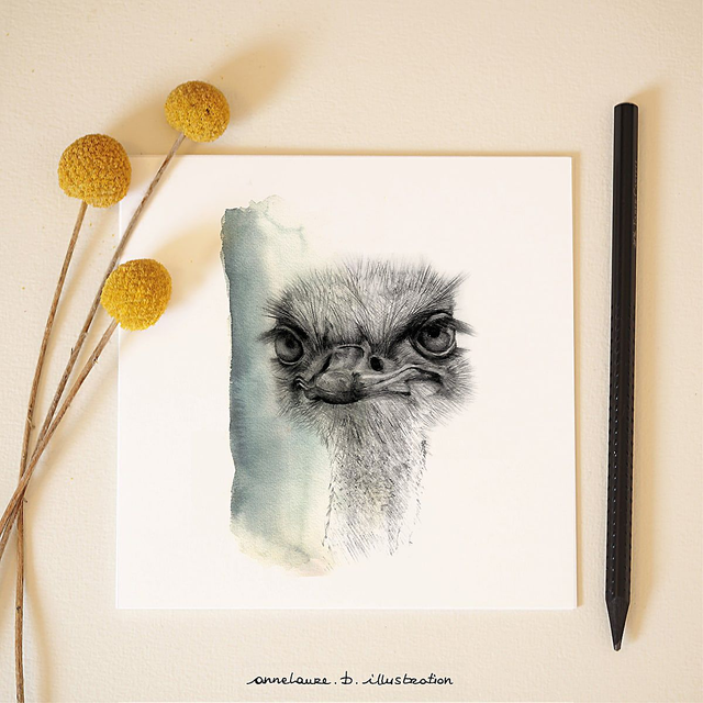 Carte &quot;Autruche&quot;