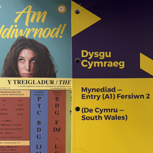 Starter Kit: Dysgu Cymraeg - Mynediad