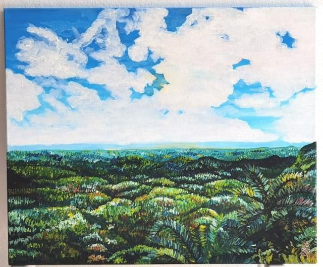 Vue sur l'horizon - Pitons du Carbet