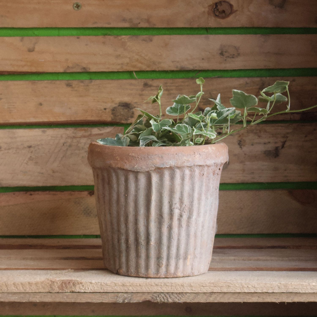 Aged Terracotta Ribbed Pot