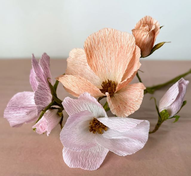 Eglantine "Eléor" avec son vase artisanal offert