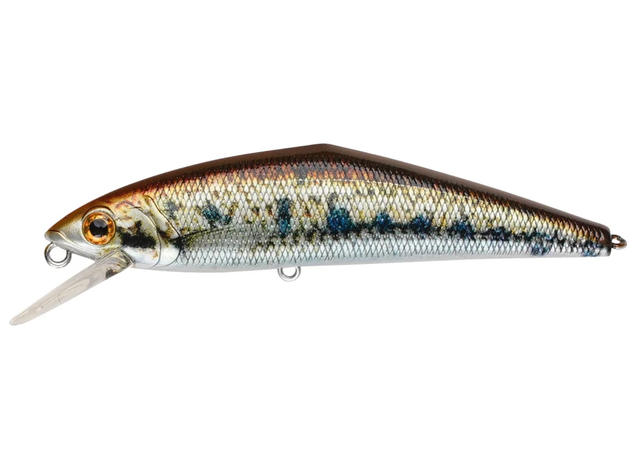 D-Contact 50 Color V4