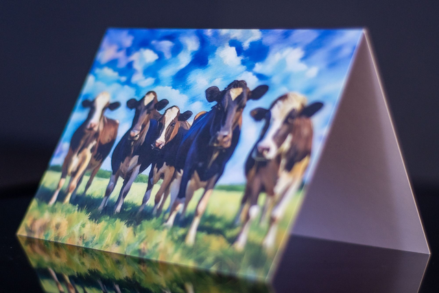 Friesian Cow Greetings card. Vibrant colour digital sketch from my own photo. 148mmx105mm.