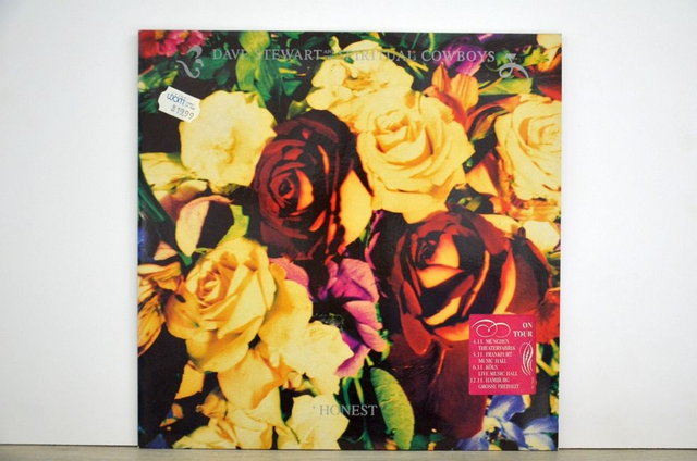 Stewart, Dave - Dave Stewart &amp; The Spiritual Cowboys (1991)