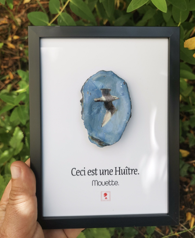 13x18 : "Ceci est une Huitre " Mouette b