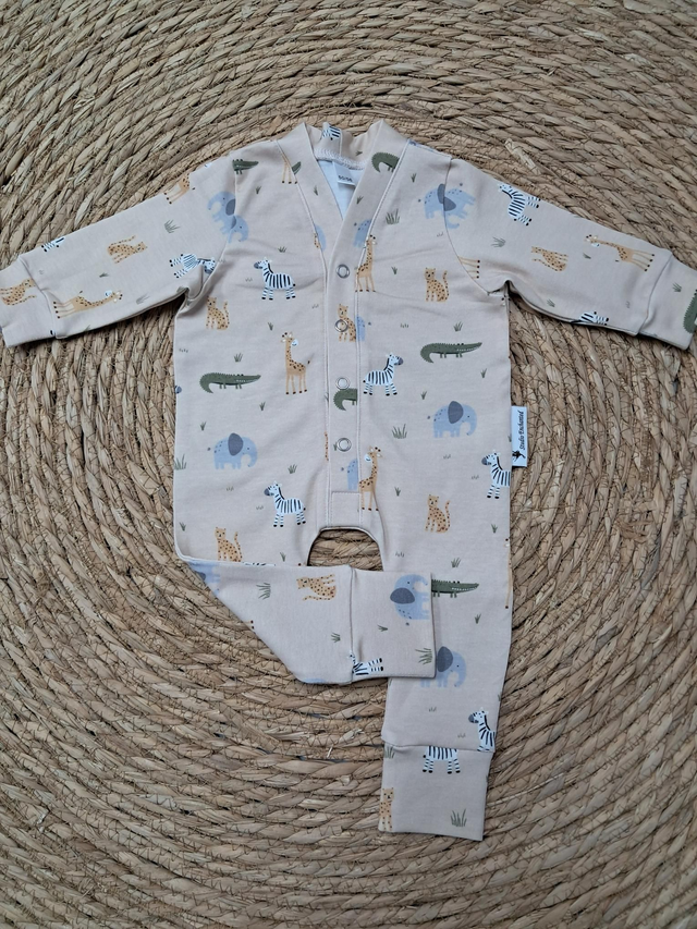 Safari