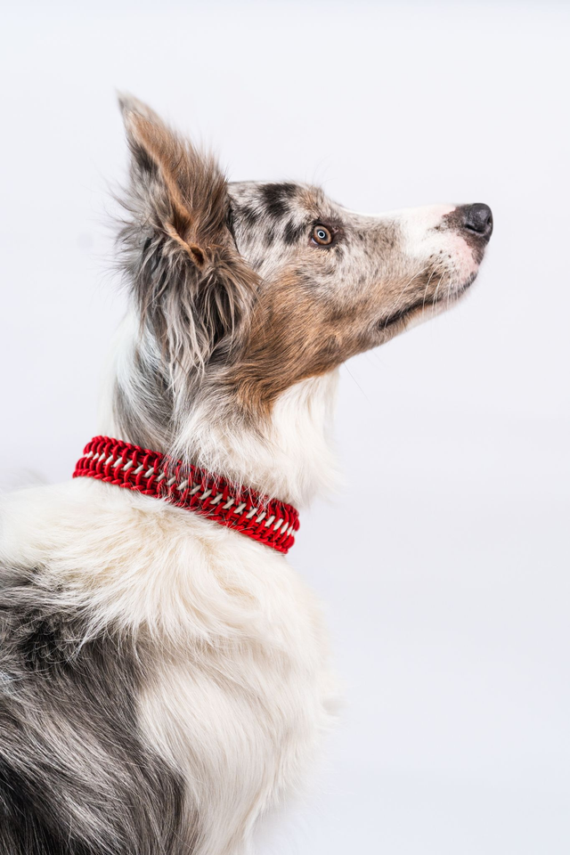 Collier &quot;Blue &amp; Blood&quot;