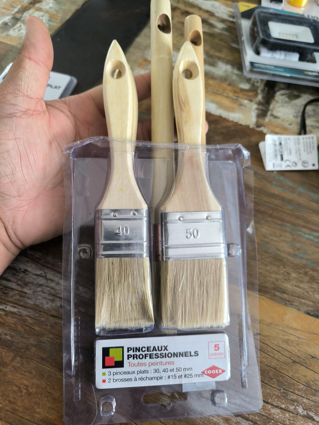 PINCEAUX PROFESSIONNELS 5 PIECES