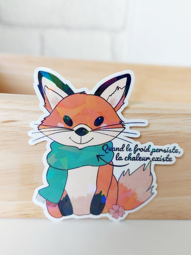 Stickers illustrés de Noël "Le froid persiste"| Autocollants colorés à l’unité