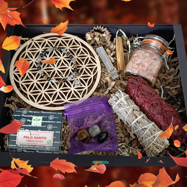  Grande Box de Purification et Protection 