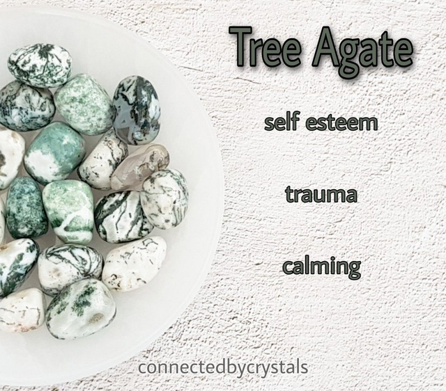 Tree Agate Tumblestone 