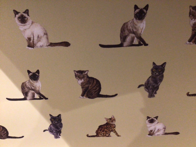 Gift Wrap Rewrapped Cats 