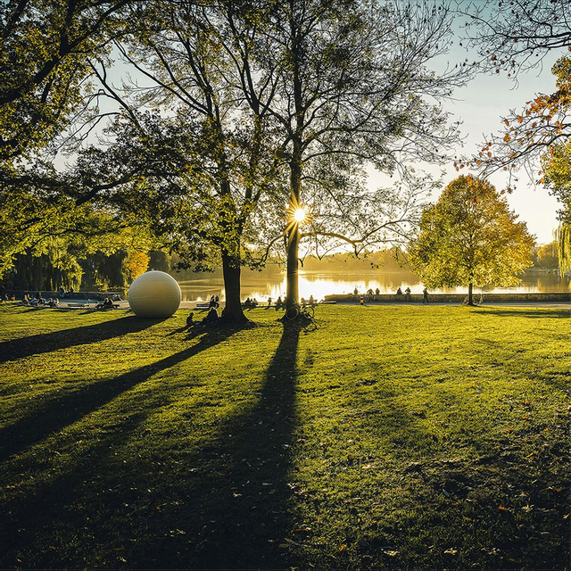 Aaseekugeln im Herbstlicht