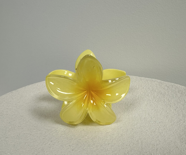 PINCE À CHEVEUX FLOR