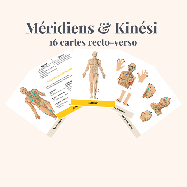 KinésioKit Méridiens