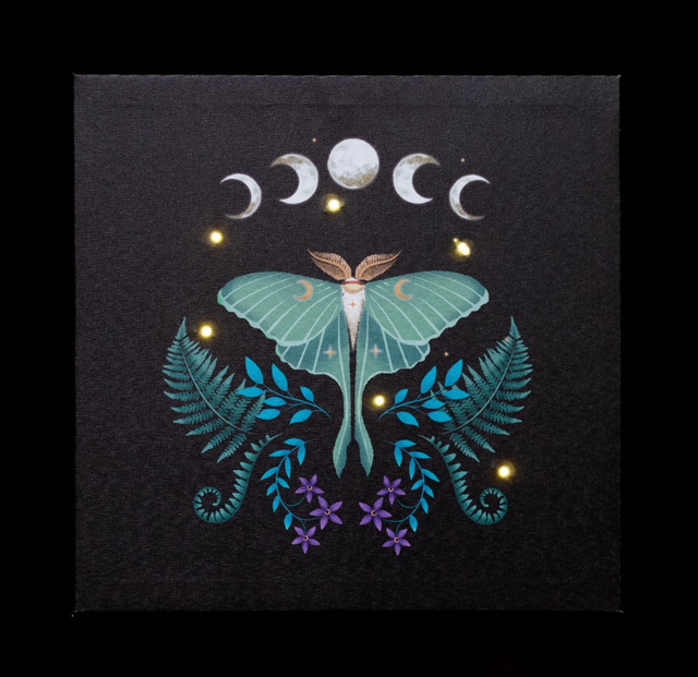 Dark forest Luna moth light up canvas