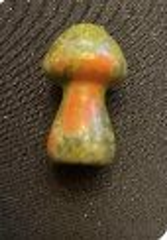Champignon en Unakite