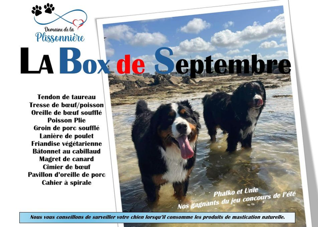 A - La Box de Septembre