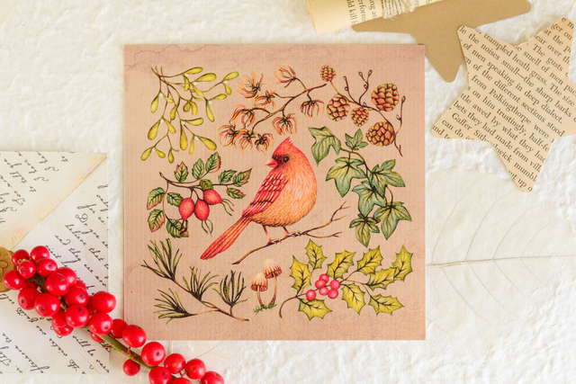 Robin Christmas Card