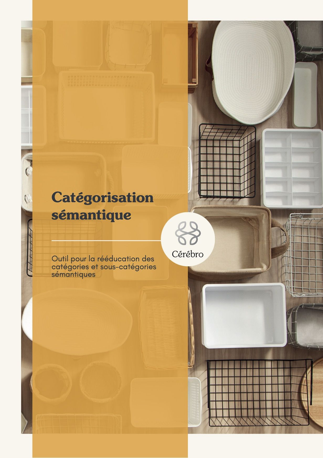 Catégorisation sémantique