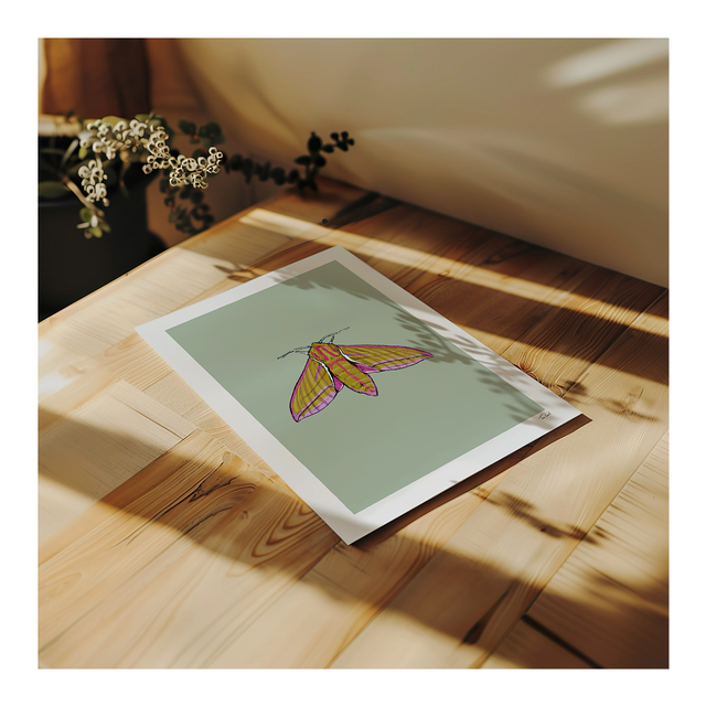 &#039;Elephant Hawk Moth&#039; art print