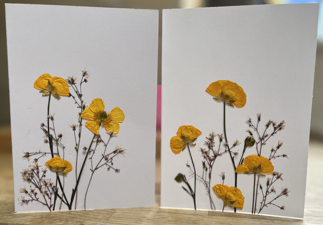Buttercups and London pride flowers Greeting Card