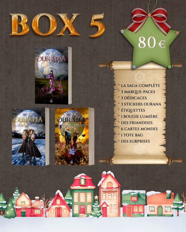 BOX de Noël - 5
