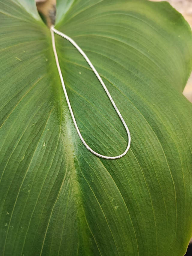 Chaîne en Argent, longueur 40 cm