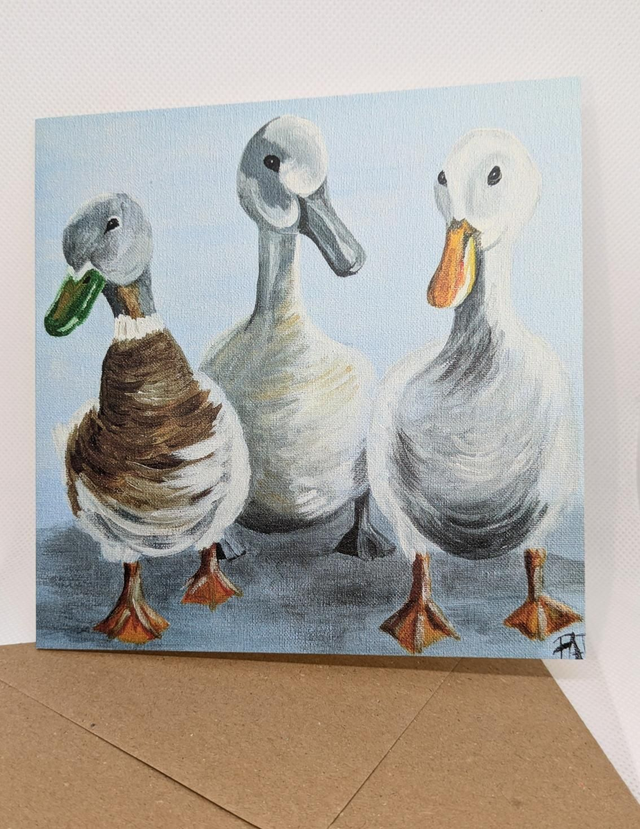 Ducks