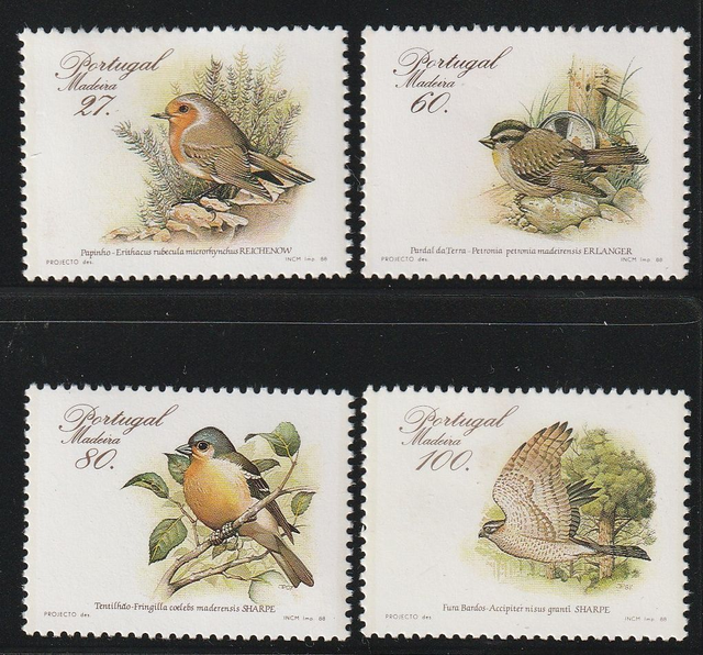  Madeira 1988 Birds Set MNH