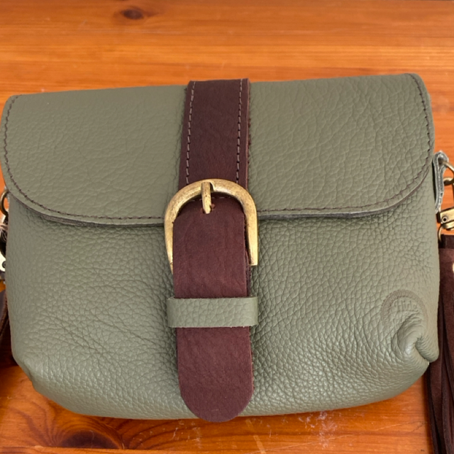 Sage and chocolate leather mini satchel