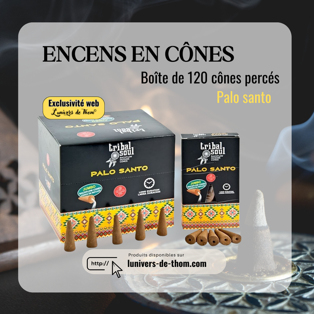 Backflow Cônes XL Tribal Soul Palo Santo 120 pcs