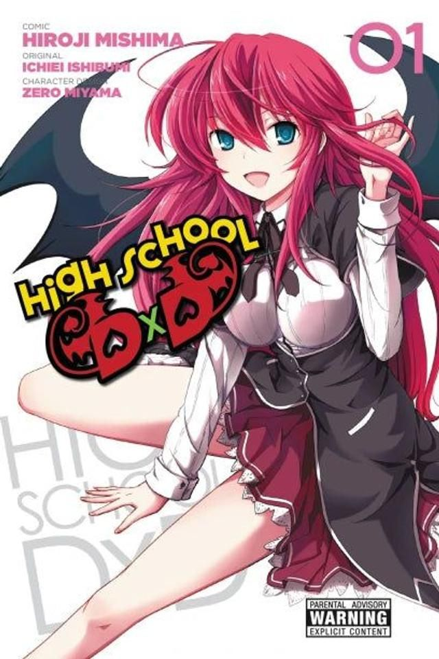 Little, Brown &amp; Company High School DxD, Vol. 01