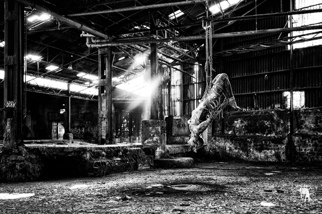 "Du croquis au cliché" Tirage Fine Art sur Alu-Dibond 40x60cm